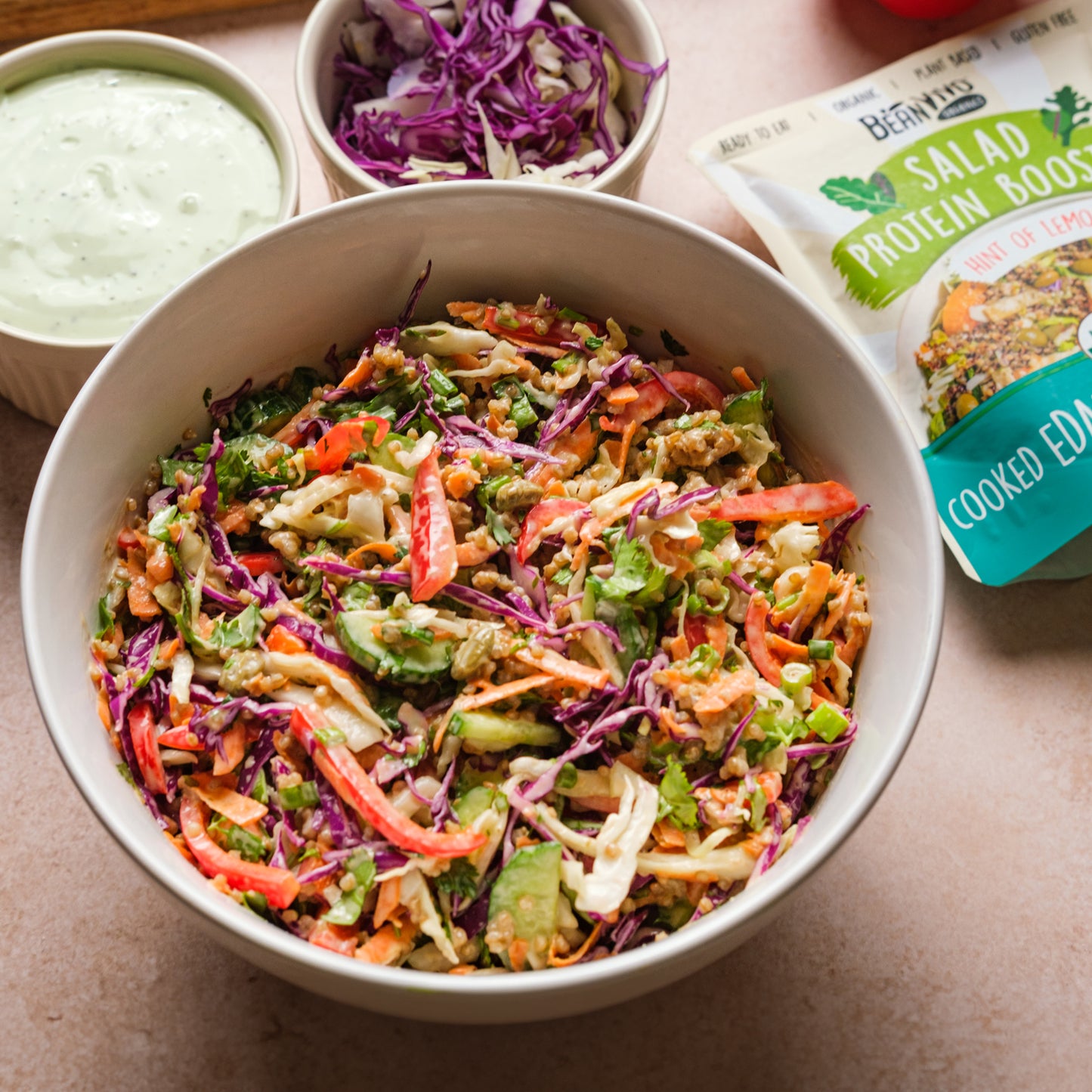 Organic Salad Protein Booster - Hint of Lemon (6-Pack)