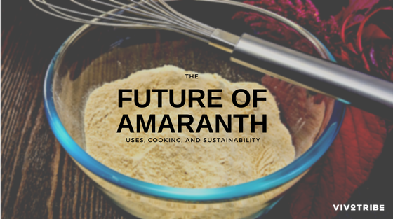 Amaranth Uses, Cooking, and Sustainability