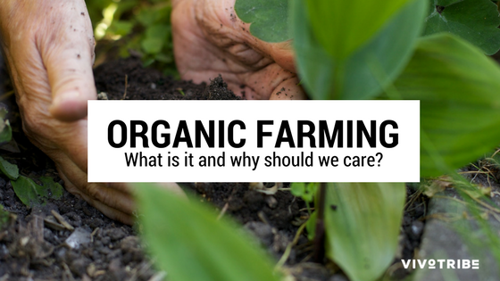 What is organic farming?