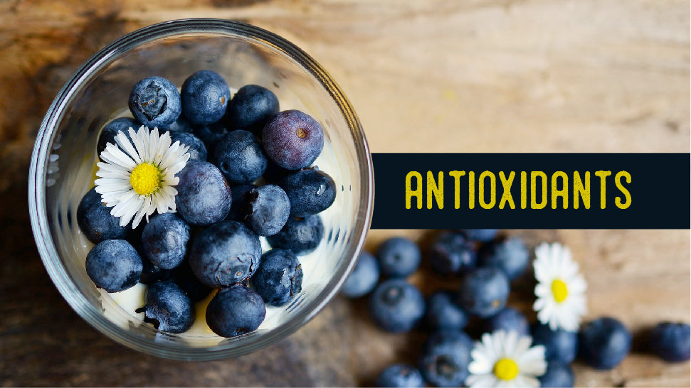 Healthy Snacks High in Antioxidants